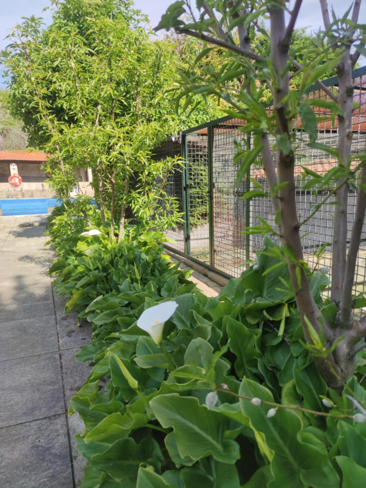 Real Santo Antonio Guest House Tarouca ภายนอก รูปภาพ