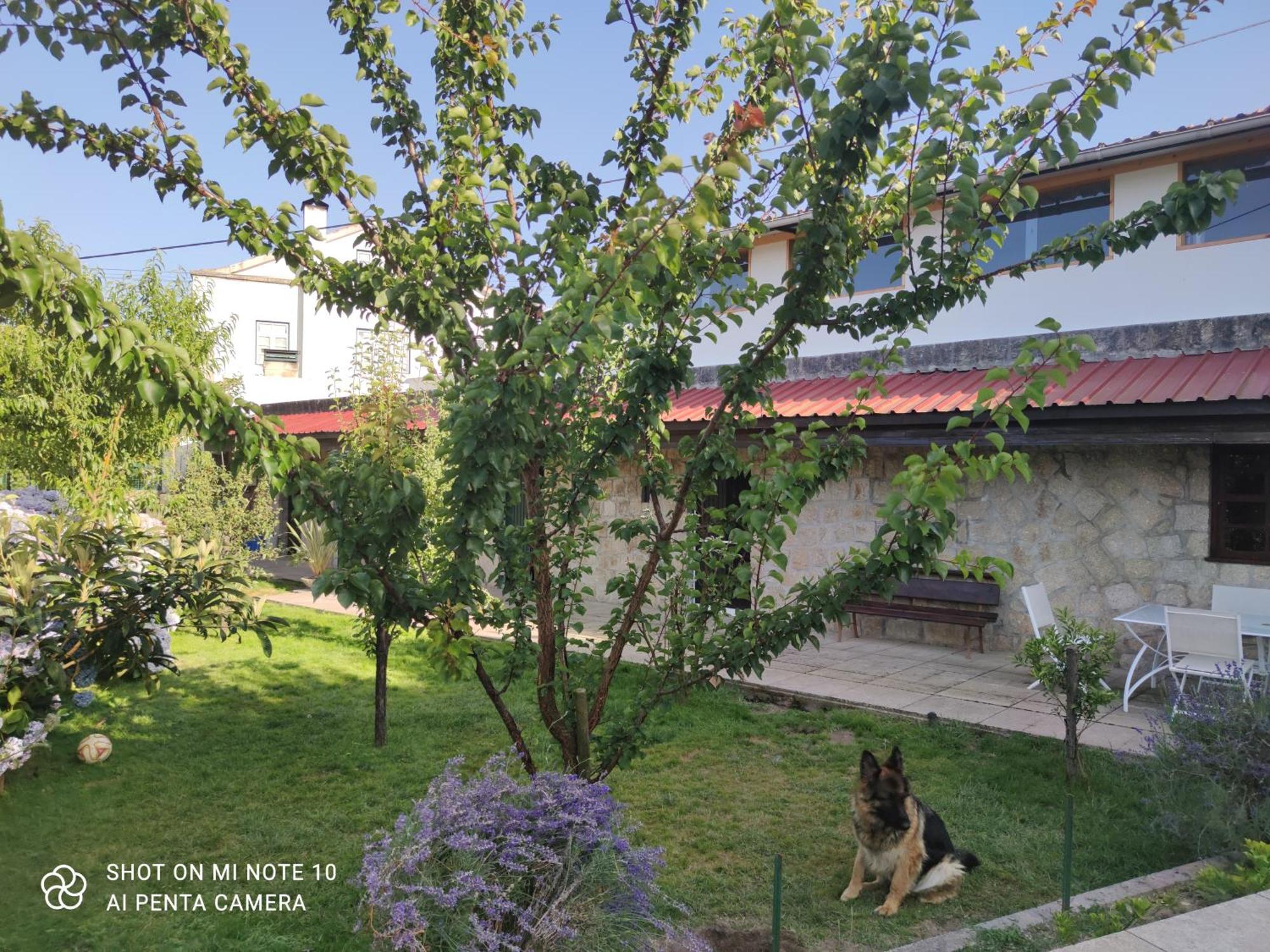 Real Santo Antonio Guest House Tarouca ภายนอก รูปภาพ