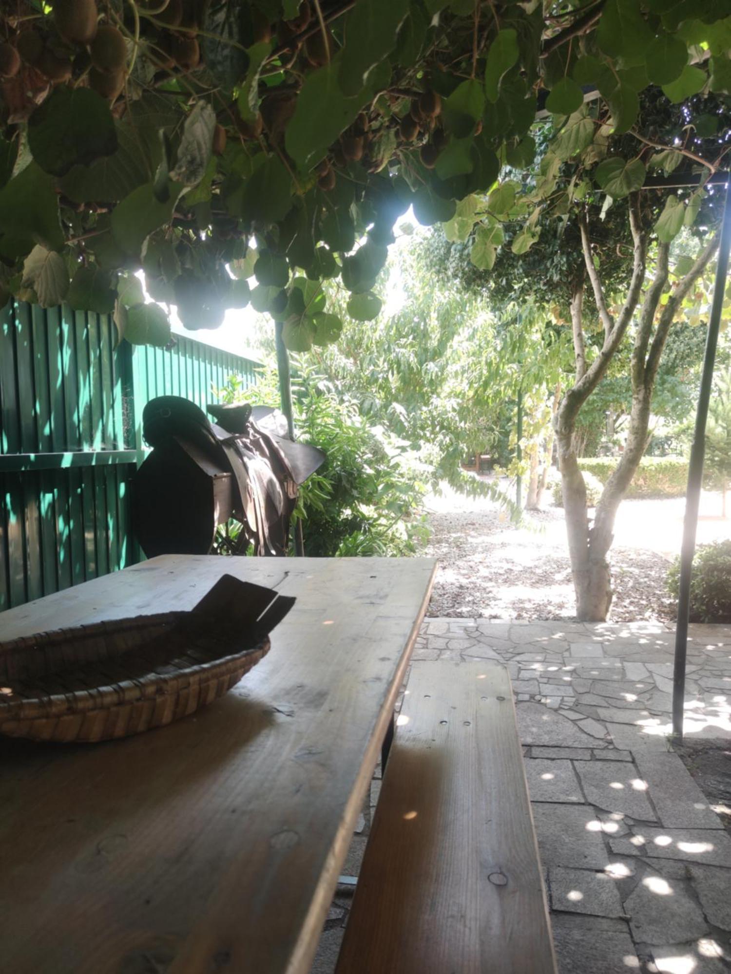 Real Santo Antonio Guest House Tarouca ภายนอก รูปภาพ