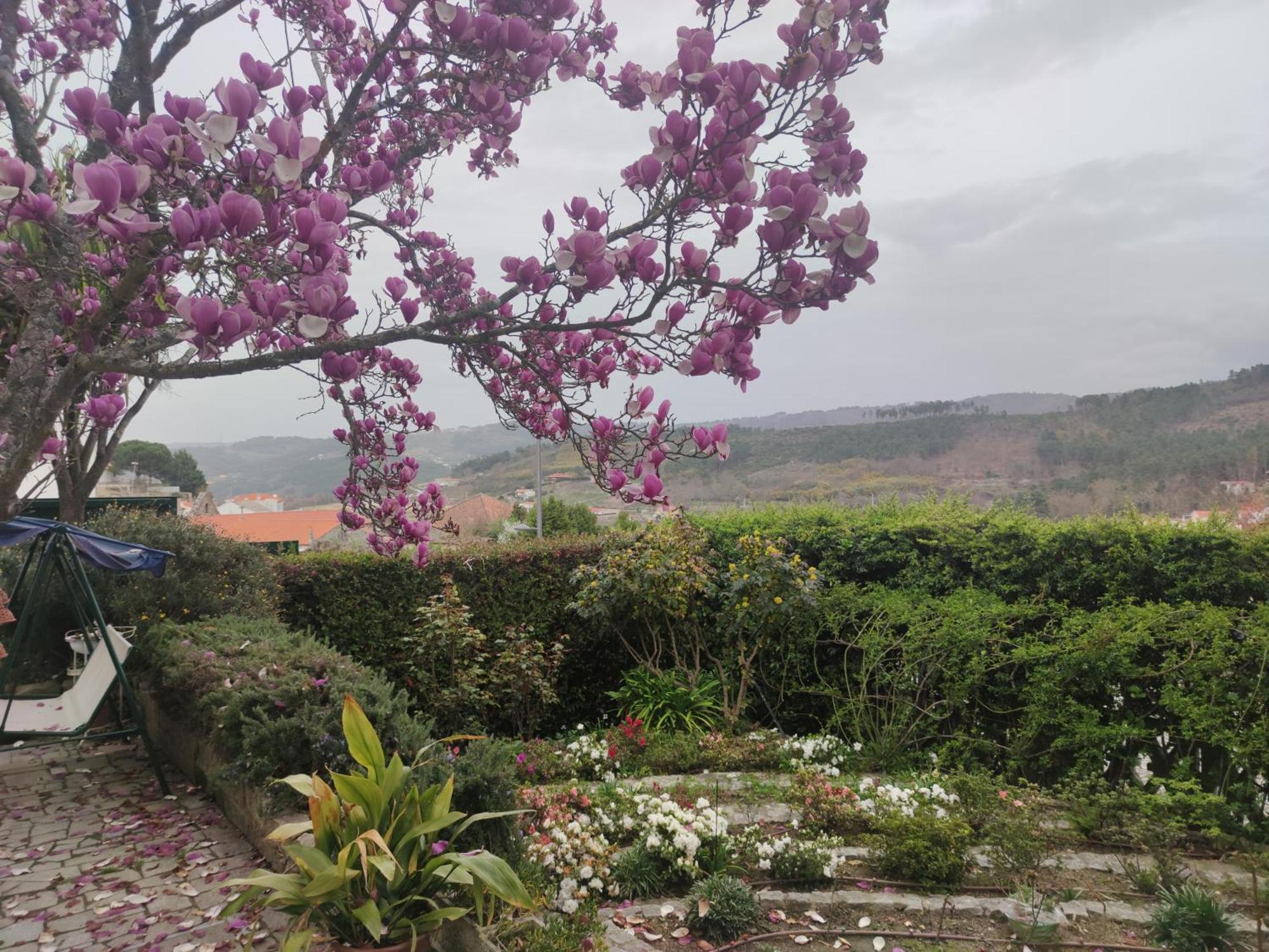 Real Santo Antonio Guest House Tarouca ภายนอก รูปภาพ