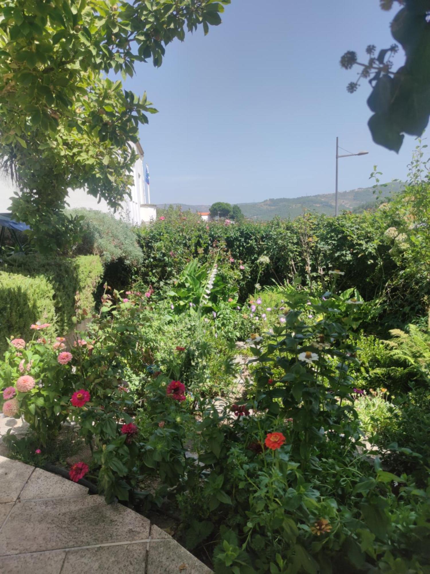 Real Santo Antonio Guest House Tarouca ภายนอก รูปภาพ