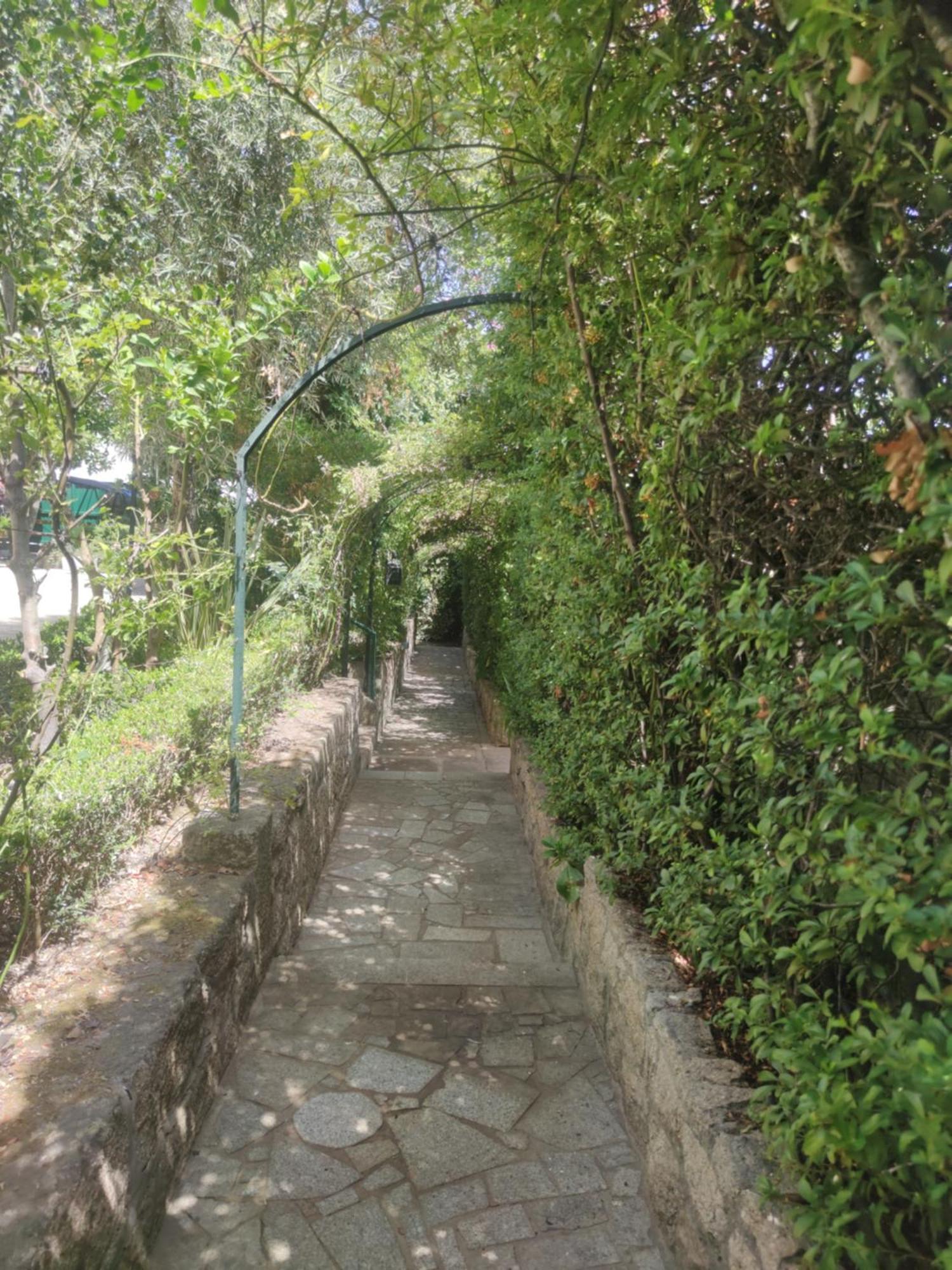 Real Santo Antonio Guest House Tarouca ภายนอก รูปภาพ