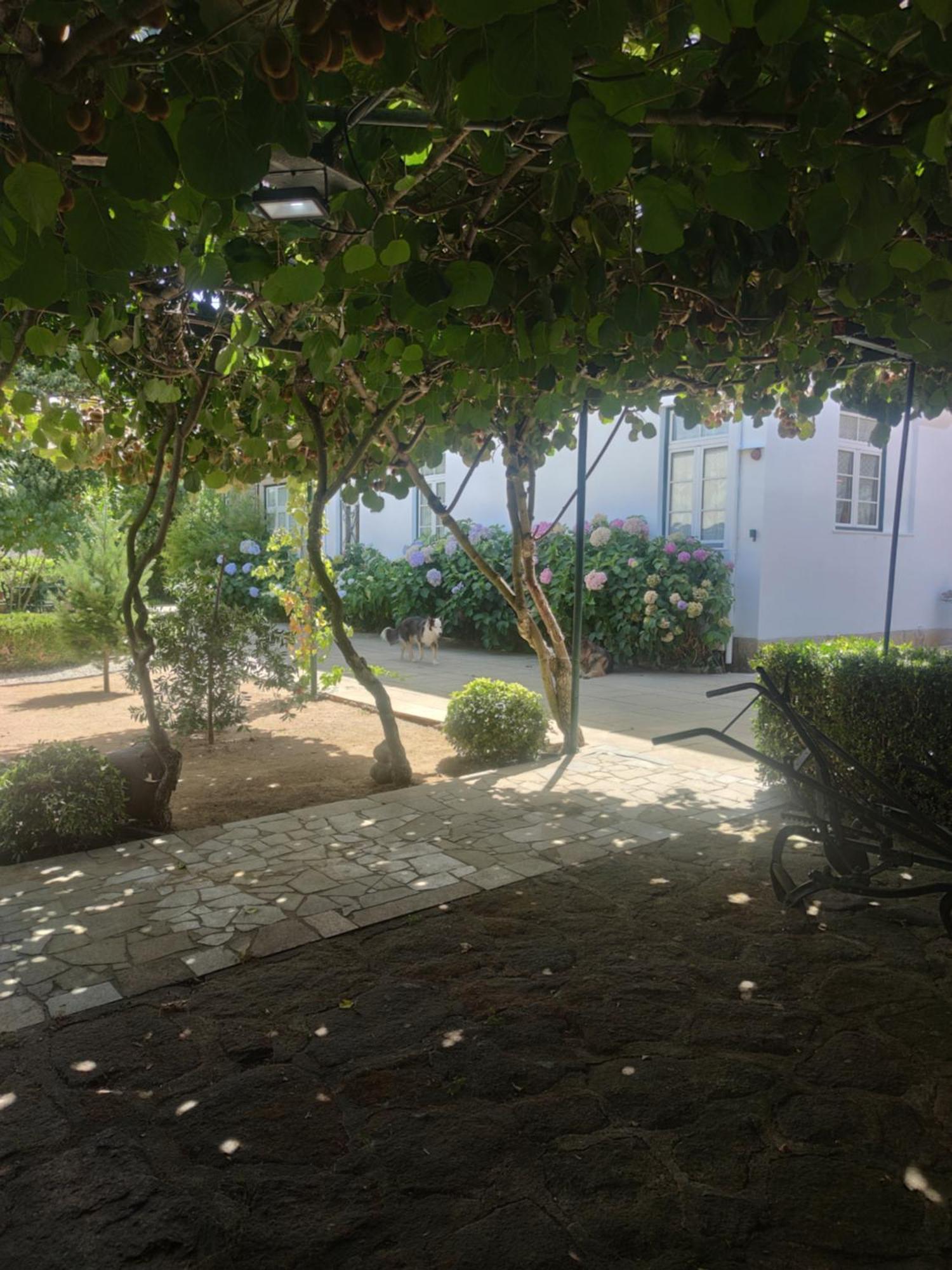 Real Santo Antonio Guest House Tarouca ภายนอก รูปภาพ